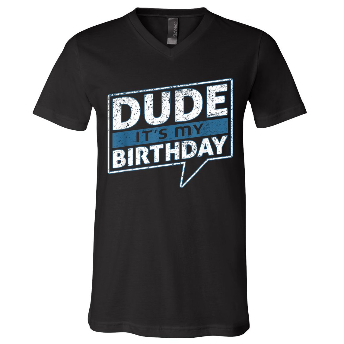 Dude Its My Birthday Party Happy Celebration V-Neck T-Shirt
