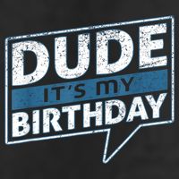 Dude Its My Birthday Party Happy Celebration Adult Drive Performance Visor