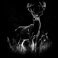 Deer In Nature Realistic Wool Snapback Cap