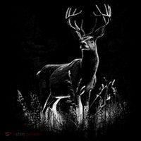 Deer In Nature Realistic Kids T-Shirt