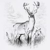 Deer In Nature Realistic Garment-Dyed Sweatshirt