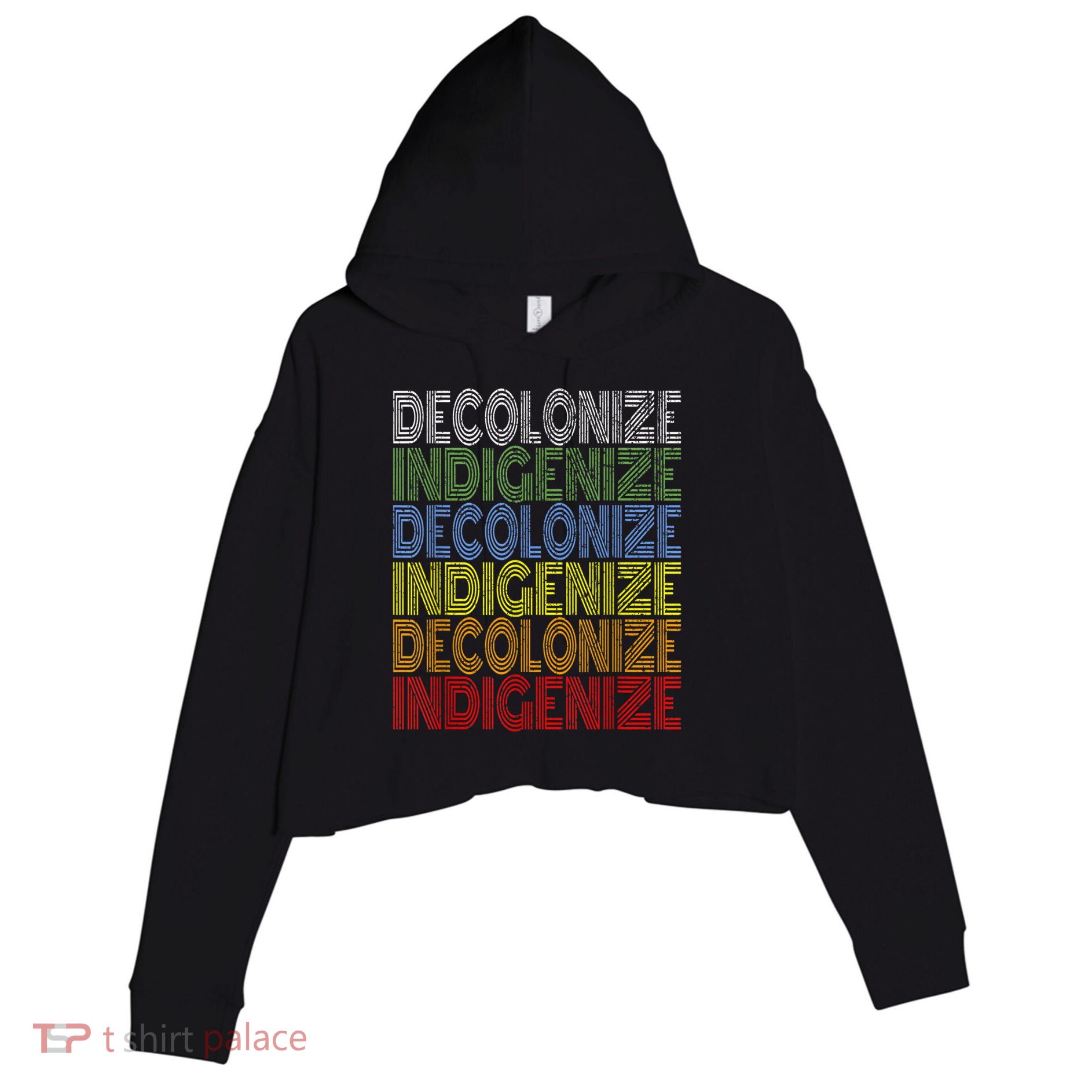 DECOLONIZE INDIGENIZE Native American Education Gift Crop Fleece Hoodie