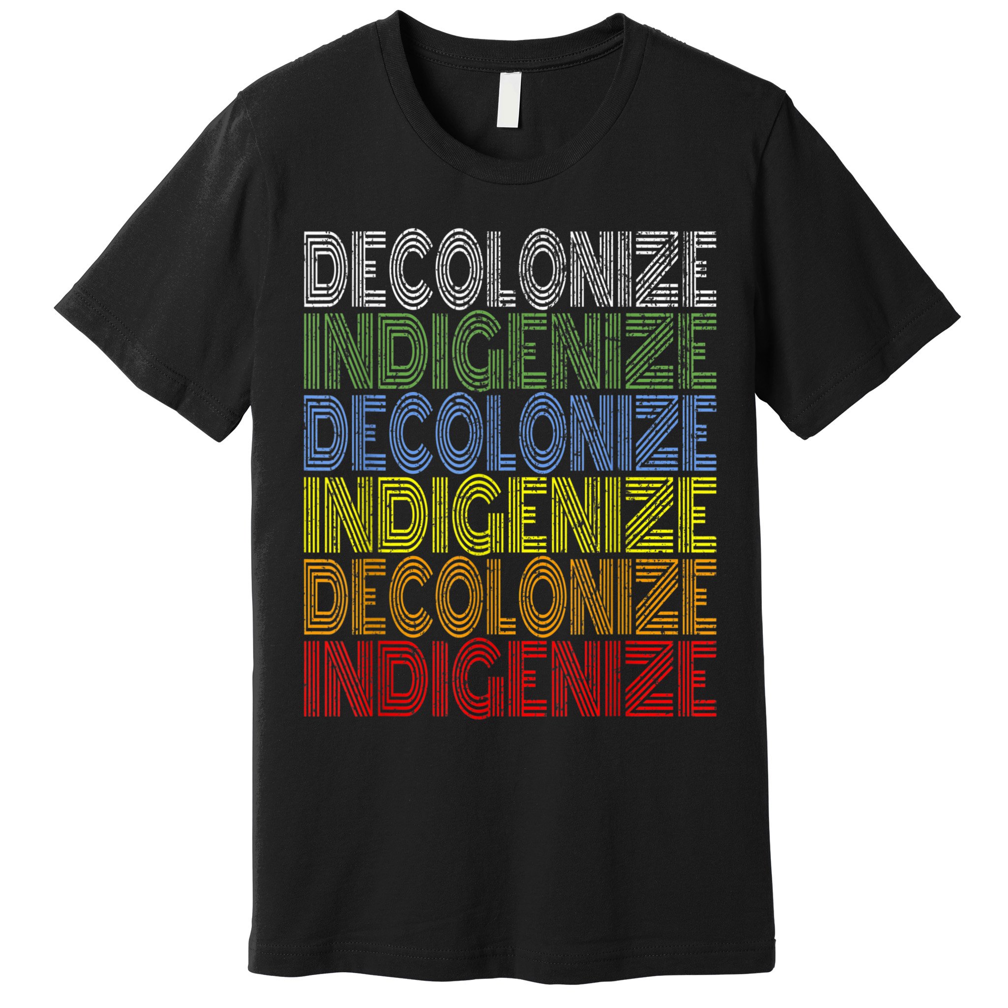 DECOLONIZE INDIGENIZE Native American Education Gift Premium T-Shirt
