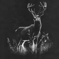 Deer In Nature Realistic Hat