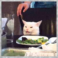 Dinner Table Cat Meme Funny Internet Yelling Tall T-Shirt