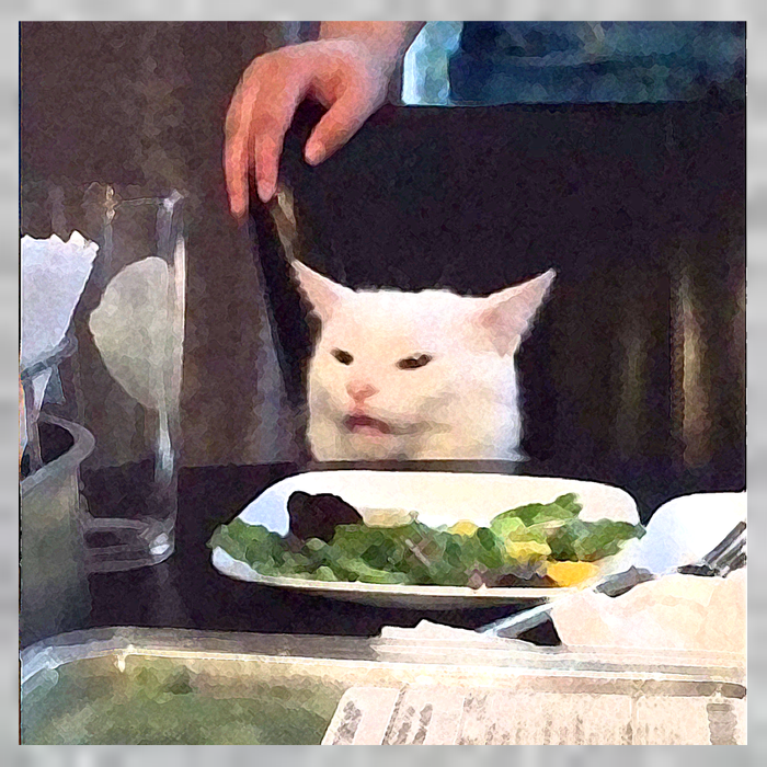 Dinner Table Cat Meme Funny Internet Yelling Tall T-Shirt