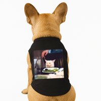 Dinner Table Cat Meme Funny Internet Yelling Doggie Tank