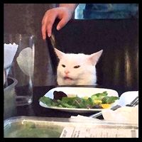Dinner Table Cat Meme Funny Internet Yelling Mug