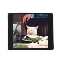 Dinner Table Cat Meme Funny Internet Yelling Mousepad