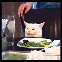 Dinner Table Cat Meme Funny Internet Yelling Mousepad