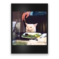 Dinner Table Cat Meme Funny Internet Yelling Poster