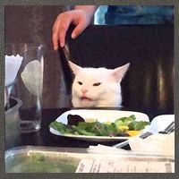Dinner Table Cat Meme Funny Internet Yelling Cotton Canvas Backpack