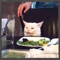 Dinner Table Cat Meme Funny Internet Yelling Vector Backpack
