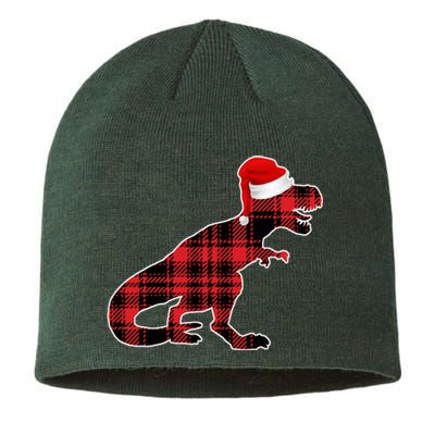 Dinosaur Santa Plaid Sustainable Beanie