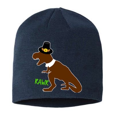 Dinosaur Thanksgiving T-Rex Pilgrim Sustainable Beanie