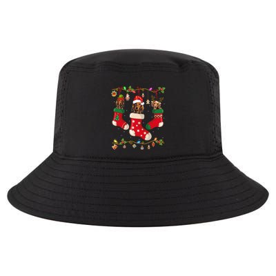 Dachshund In Socks Christmas Stocking Lights Gift Xmas Cool Comfort Performance Bucket Hat