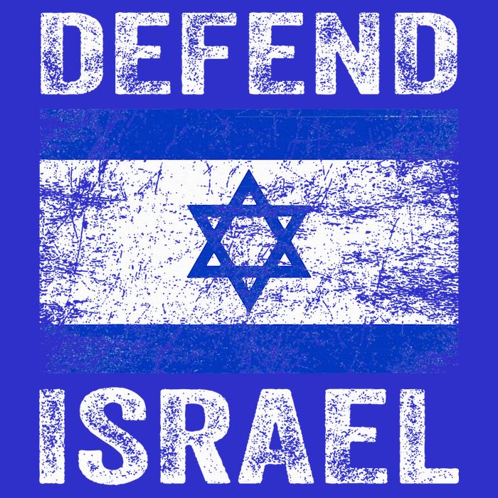 Defend Israel Support Israel I Stand With Israel Israel Flag 16 in Basic Backpack