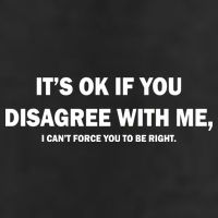 Disagree With Me Can't Force You To Be Right Premium Pullover Hoodie