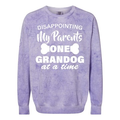 Disappointing My Parents One Grandog At A Time Colorblast Crewneck Sweatshirt