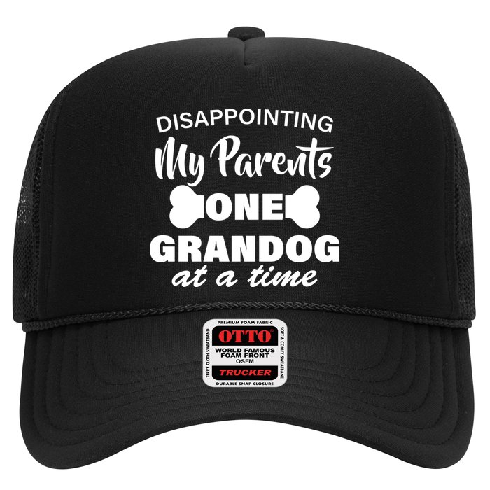Disappointing My Parents One Grandog At A Time Hat