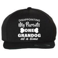 Disappointing My Parents One Grandog At A Time Wool Snapback Cap