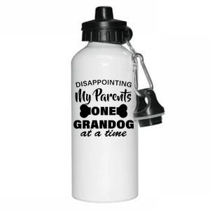 Disappointing My Parents One Grandog At A Time Aluminum Water Bottle