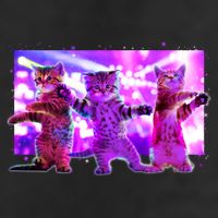 Disco Dance Party Cats 11oz C Handle Ceramic Mug