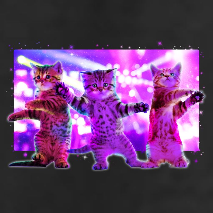 Disco Dance Party Cats 11oz C Handle Ceramic Mug