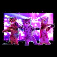 Disco Dance Party Cats Drawstring Bag
