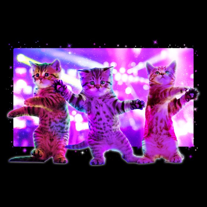 Disco Dance Party Cats Drawstring Bag