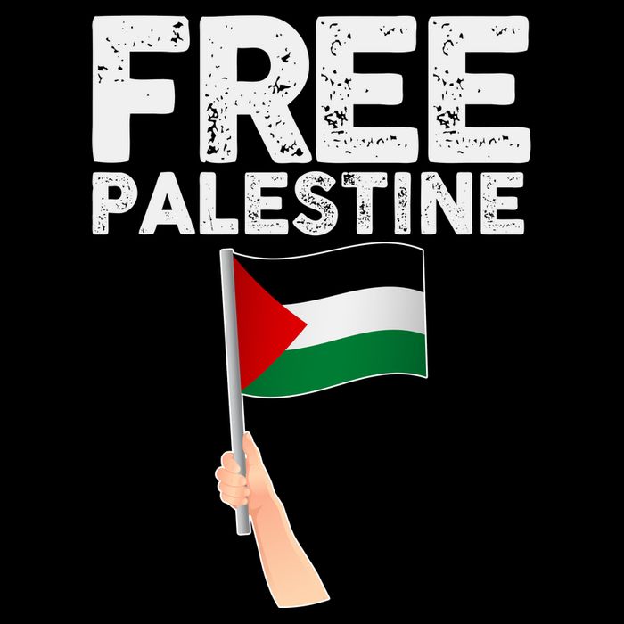 Distressed Free Palestine Waving Flag City Backpack