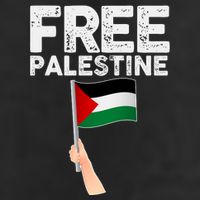 Distressed Free Palestine Waving Flag Adult Drive Performance Visor