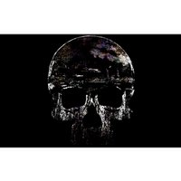 Distressed Skull Graphic Bumper Sticker