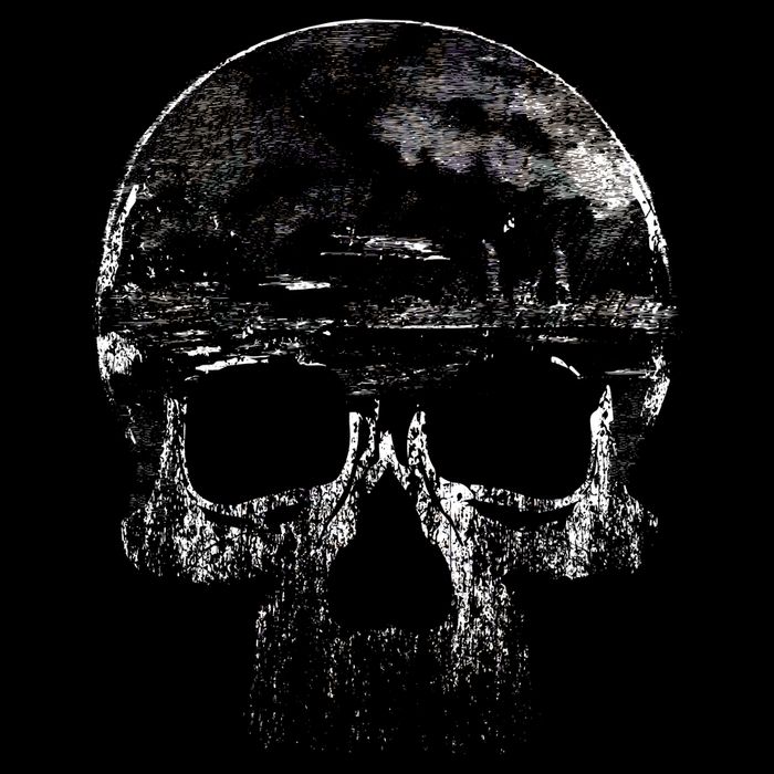 Distressed Skull Graphic Wool Snapback Cap