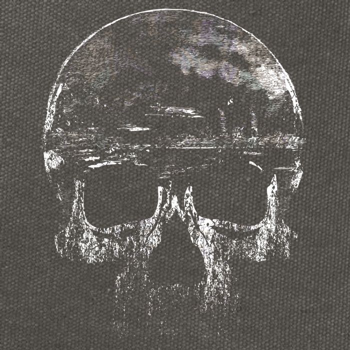 Distressed Skull Graphic Cotton Canvas Backpack