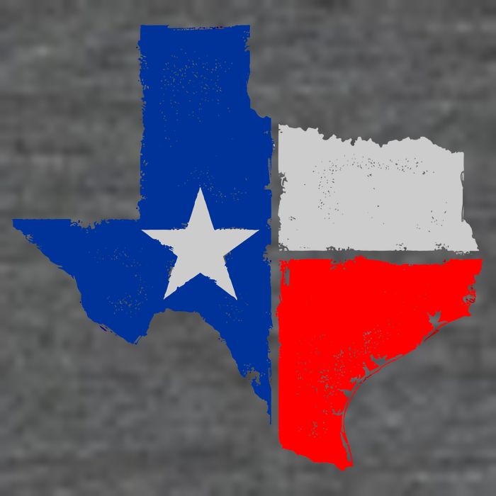 Distressed Texas State Map Flag Poster