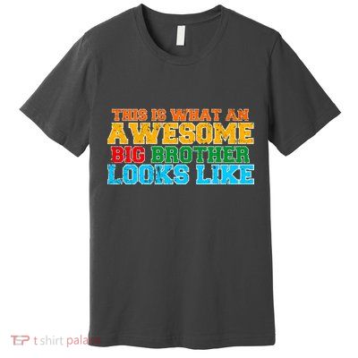 Distressed This is What an Awesome Big Brother Looks Like Premium T-Shirt