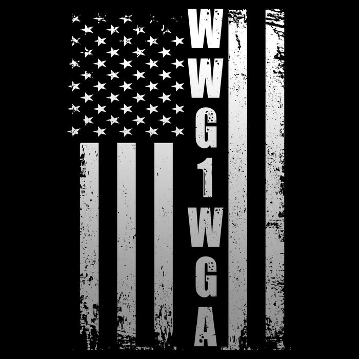 Distressed WWG1WGA US American Flag Flatbill Hat