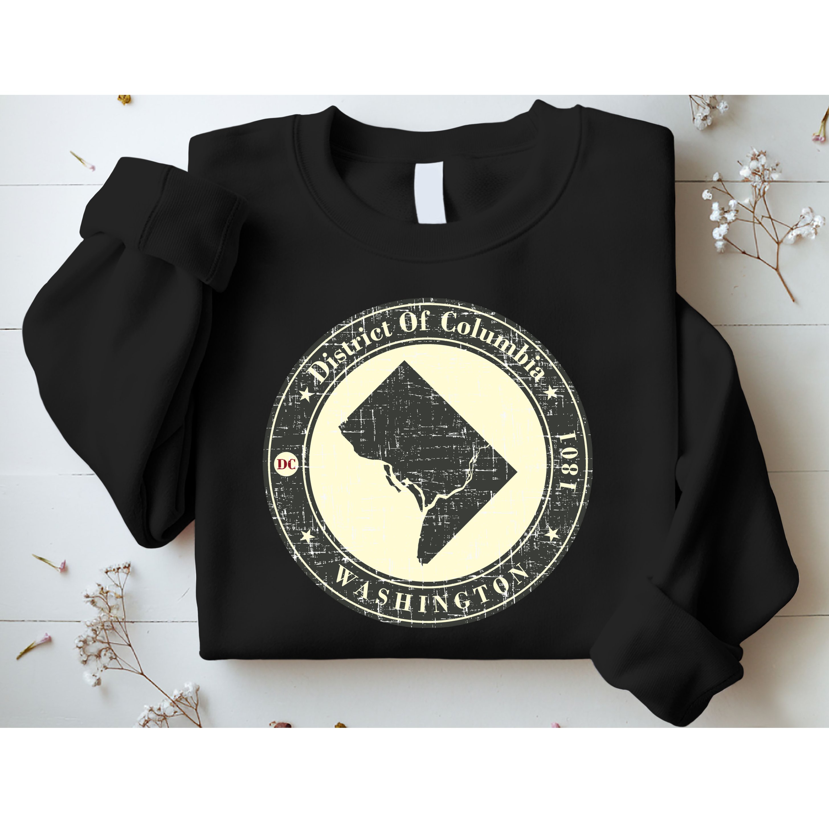 District of Columbia Washington Retro Sweatshirt