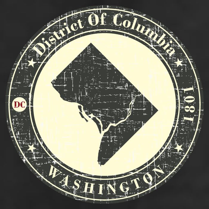 District of Columbia Washington Retro 25L Jumbo Tote