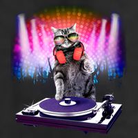 DJ Cat Turntable Mixer Cool Comfort Performance Bucket Hat