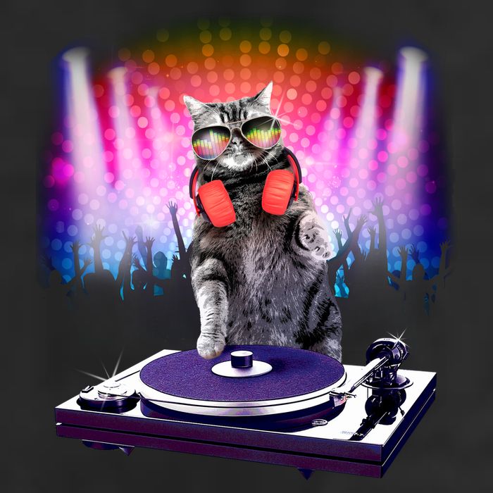 DJ Cat Turntable Mixer Cool Comfort Performance Bucket Hat