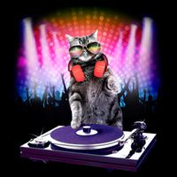 DJ Cat Turntable Mixer Cooling Performance Crew T-Shirt