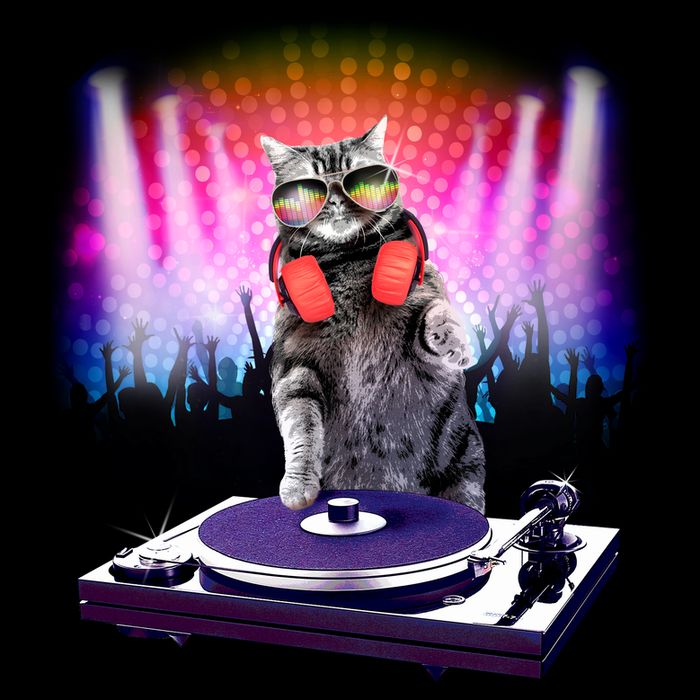 DJ Cat Turntable Mixer Cooling Performance Crew T-Shirt