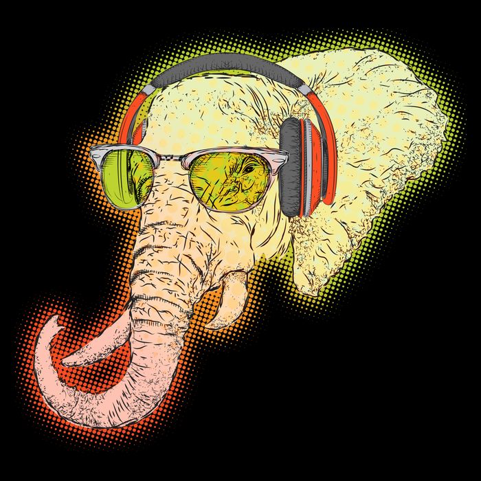DJ Elephant Backpack