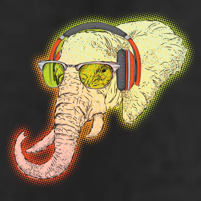 DJ Elephant Adult Drive Performance Visor