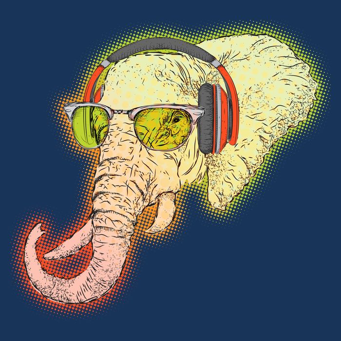 DJ Elephant Cooling Performance Long Sleeve Crew