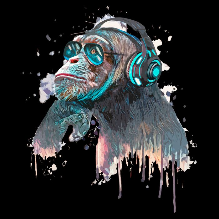 DJ Monkey Thinker Hipster Drawstring Bag
