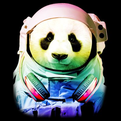 DJ Panda Astronaut T-Shirt