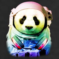 DJ Panda Astronaut Adult Drive Performance Visor